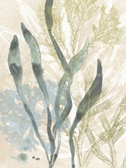 Vintage Ocean Jewels II