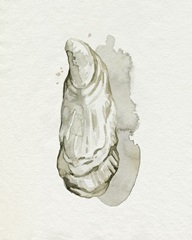 Oysters on the Bay I