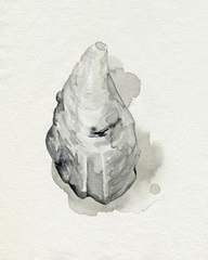 Oysters on the Bay III