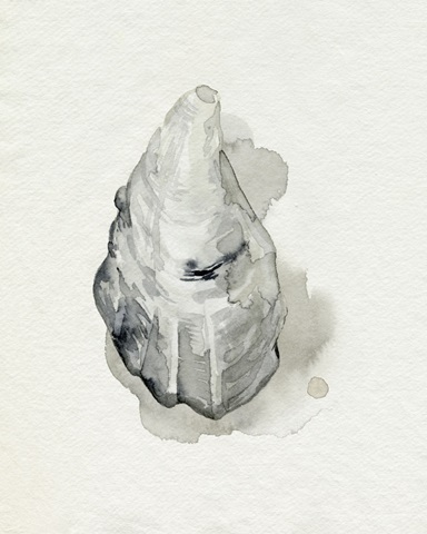 Oysters on the Bay III