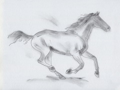 Smoke Stallion I
