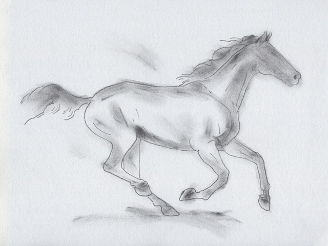 Smoke Stallion I