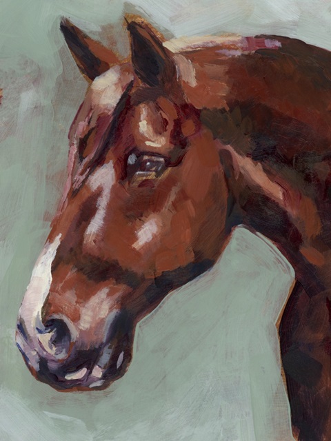 Paint by Number Horse I