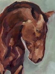 Paint by Number Horse II