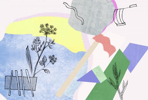 Flower-Field Collection A