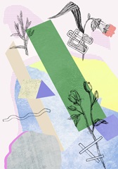 Flower-Field Collection B