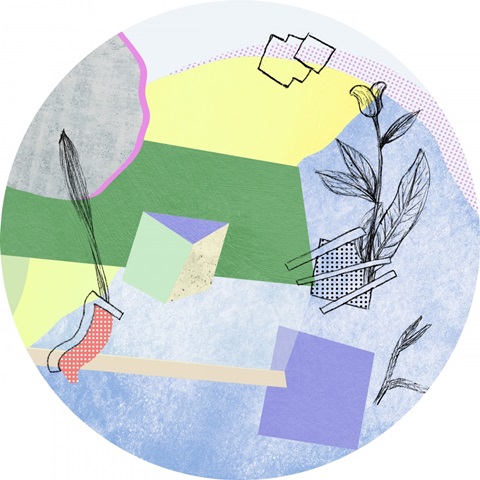 Flower-Field Collection C