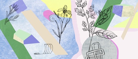 Flower-Field Collection D