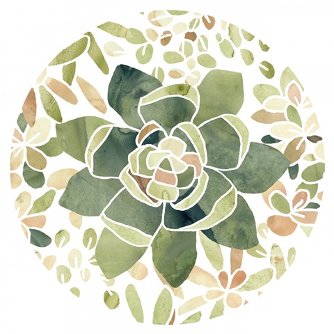 Stained Glass Succulents Collection C