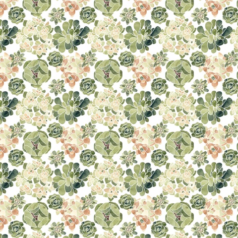 Stained Glass Succulents Collection F