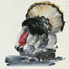 Watercolor Turkey II