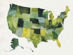 USA in Watercolor I