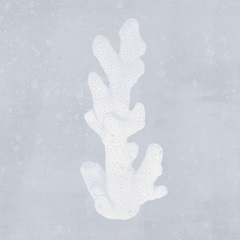 Tide Pool Treasures IV