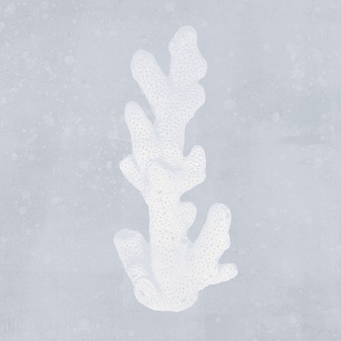 Tide Pool Treasures IV