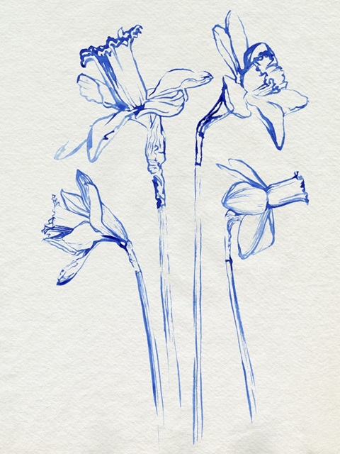 Inky Daffodils II