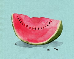 Summer Watermelon I