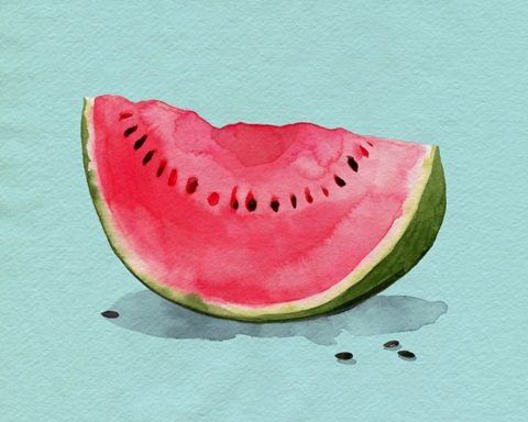 Summer Watermelon I