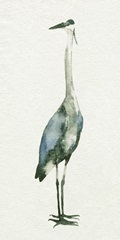 Deep Blue Heron II