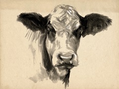 Charcoal Cow II