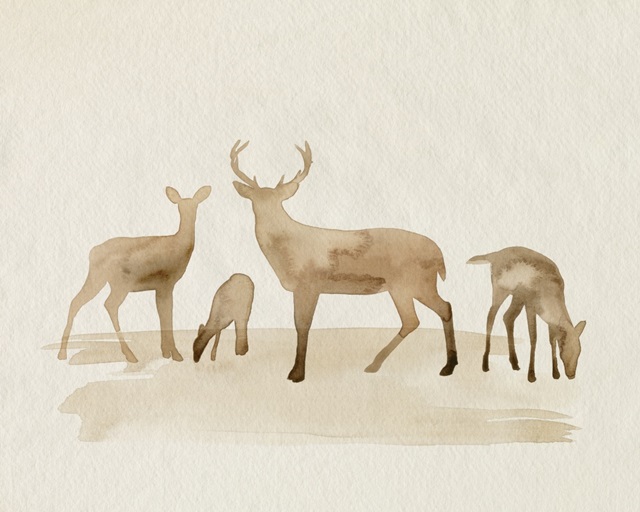 Whitetail Herd I