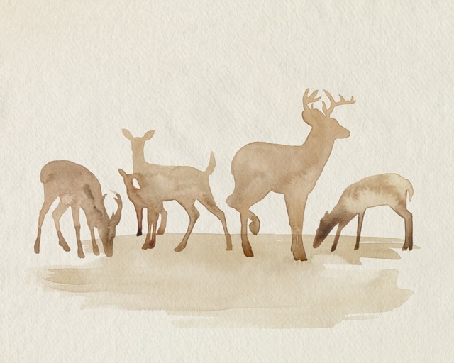 Whitetail Herd II