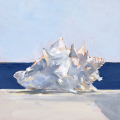 Shell By the Shore I