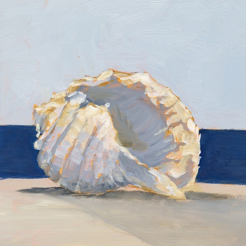 Shell By the Shore II