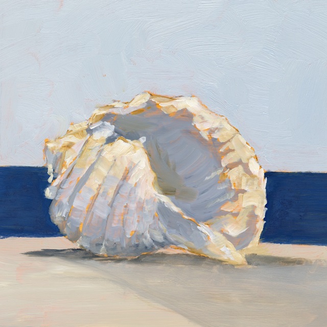 Shell By the Shore II