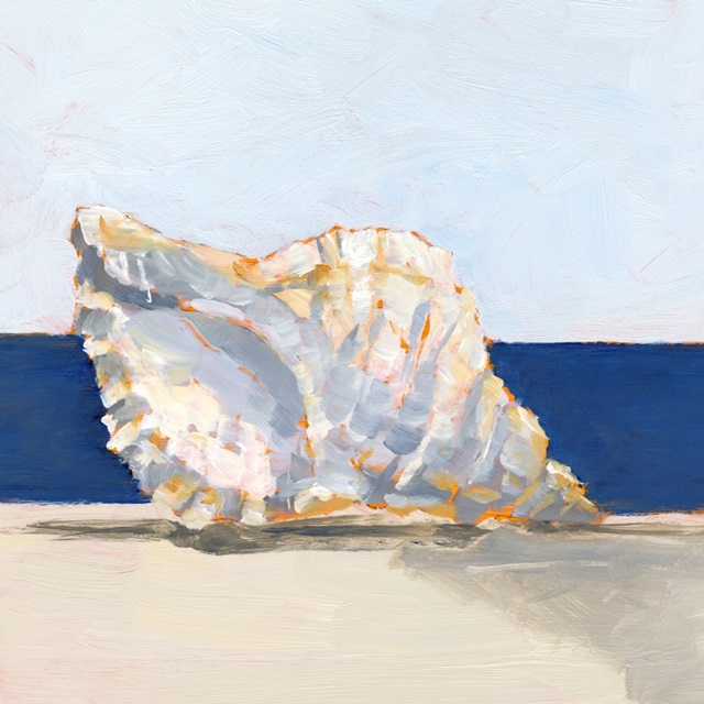 Shell By the Shore III