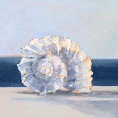 Shell By the Shore IV