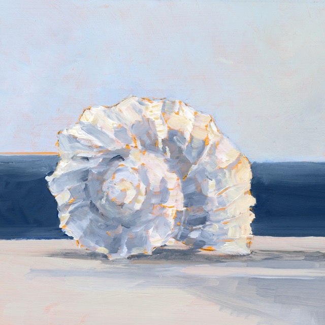 Shell By the Shore IV