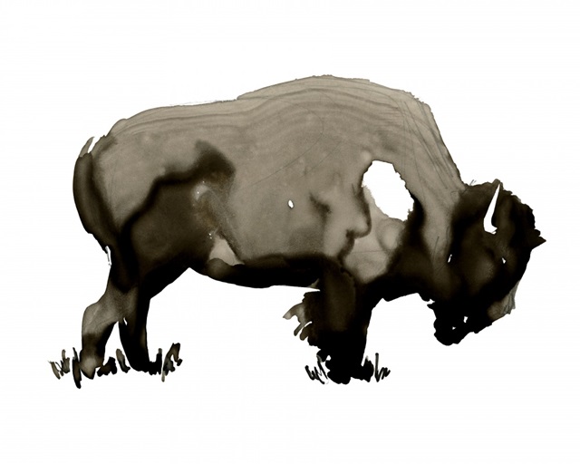 Monochrome Bison I