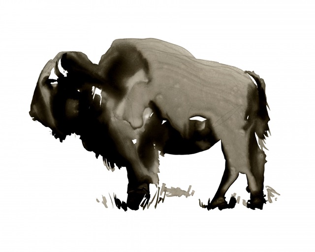 Monochrome Bison II