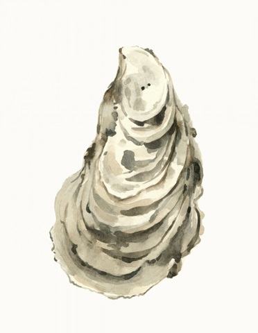 Neutral Oyster Study I
