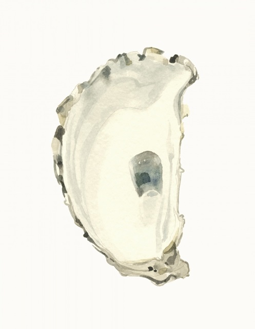 Neutral Oyster Study II