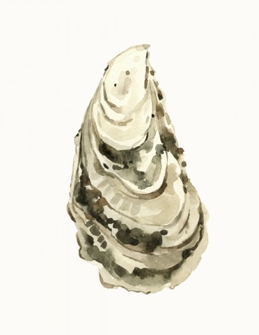 Neutral Oyster Study III