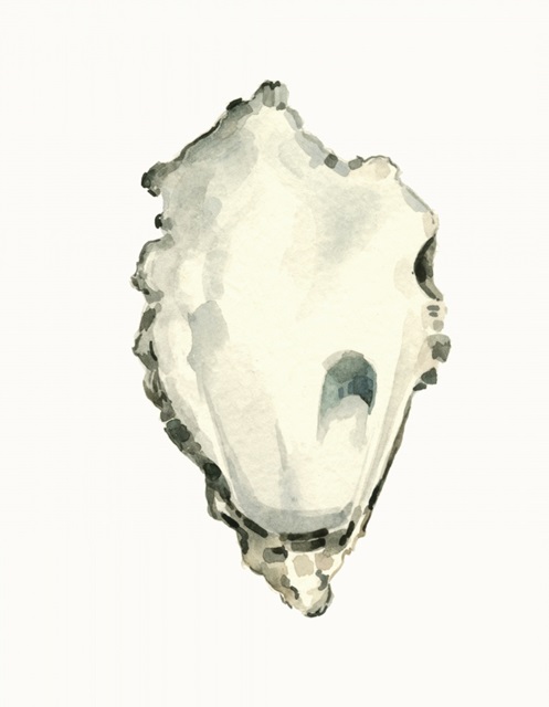 Neutral Oyster Study IV