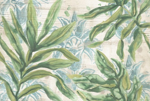 Palms & Patterns Collections A