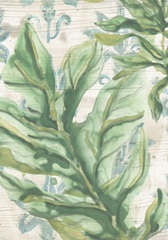 Palms & Patterns Collections B