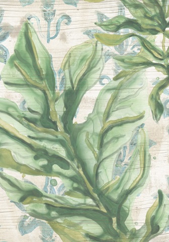 Palms & Patterns Collections B