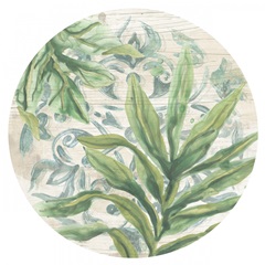 Palms & Patterns Collections C