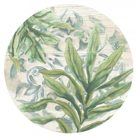 Palms & Patterns Collections C