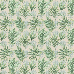 Palms & Patterns Collections F