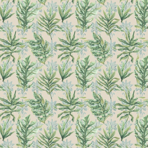 Palms & Patterns Collections F