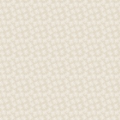 Palms & Patterns Collections H