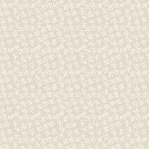 Palms & Patterns Collections H