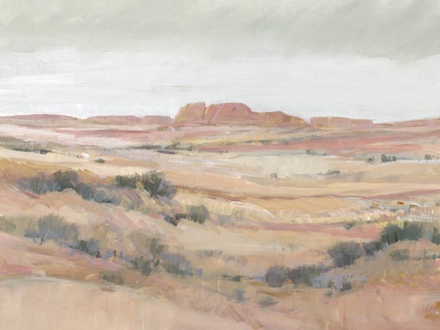 Southwest Landscape II