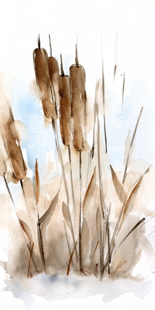 Watercolor Cattail Study I