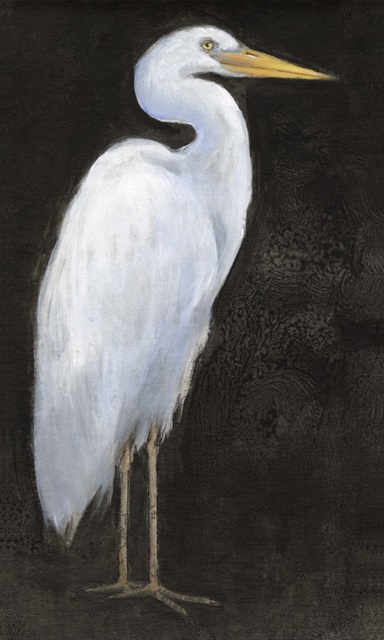 White Heron Portrait I