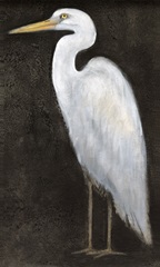 White Heron Portrait II